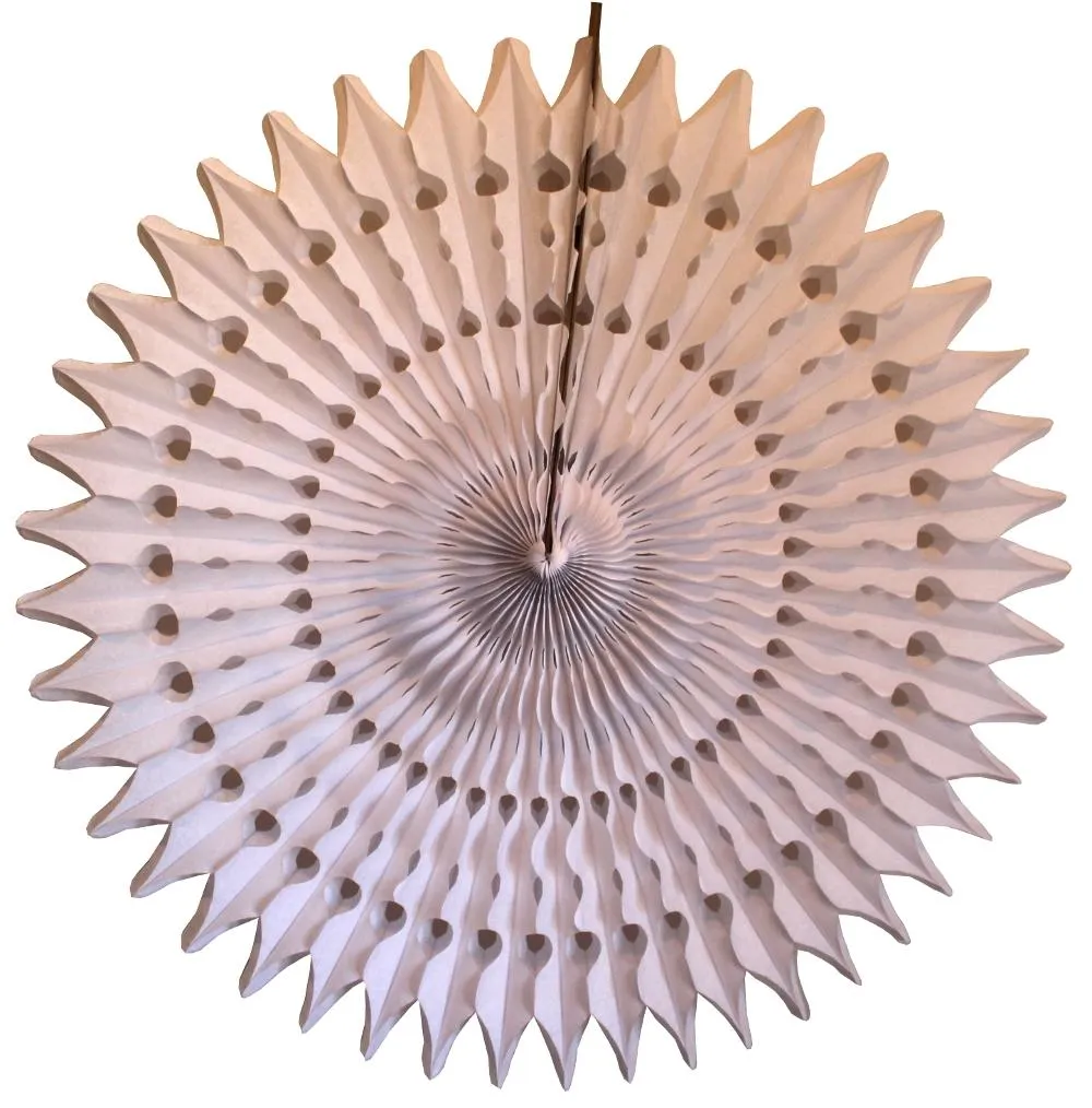 21 White Tissue Paper Fan