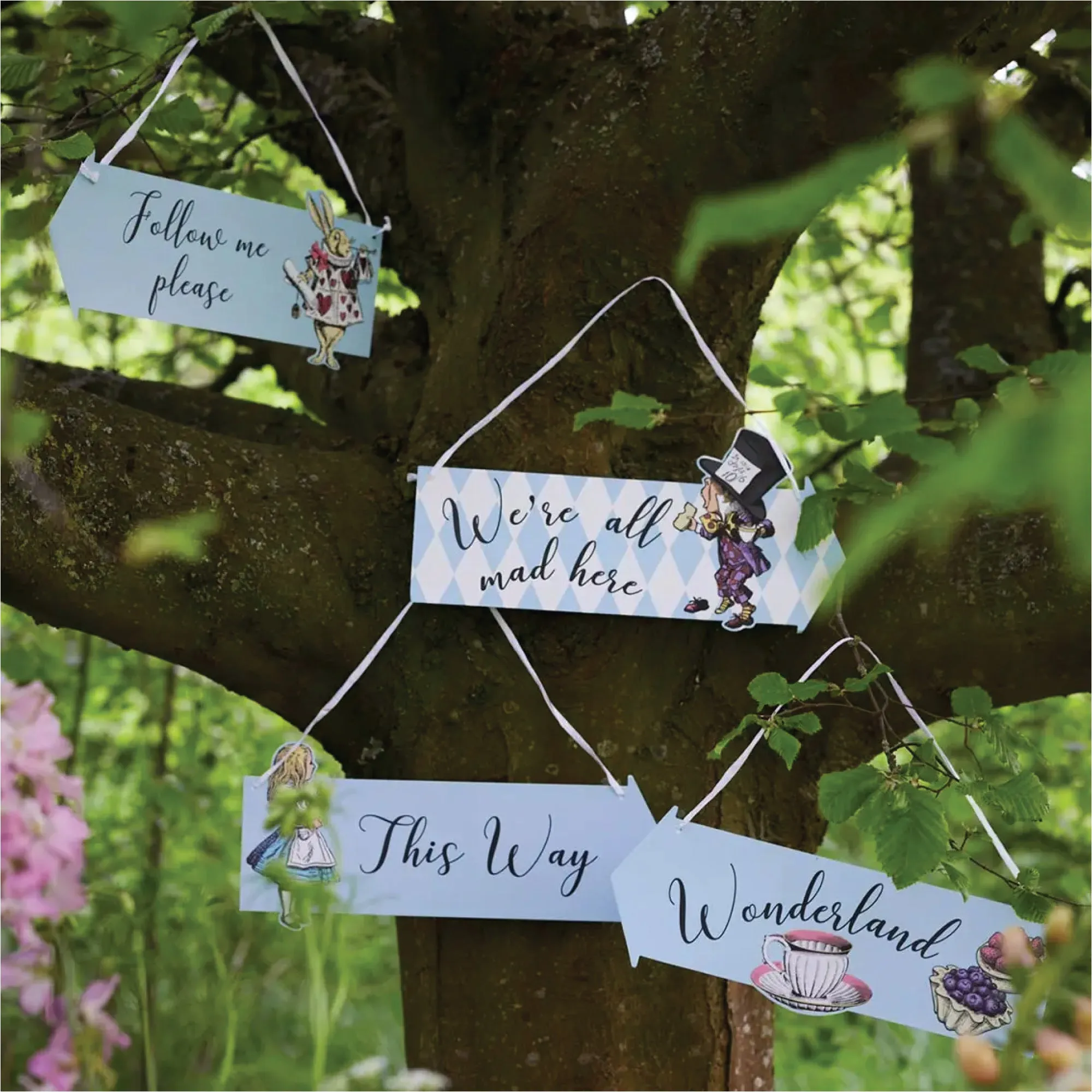 Alice in Wonderland Party Sign Decorations 12ct