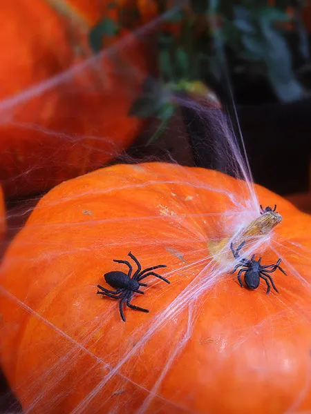 Black Plastic Spiders 10ct