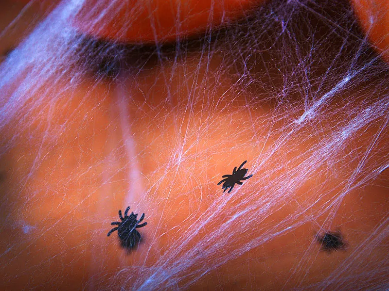 Black Spider Confetti