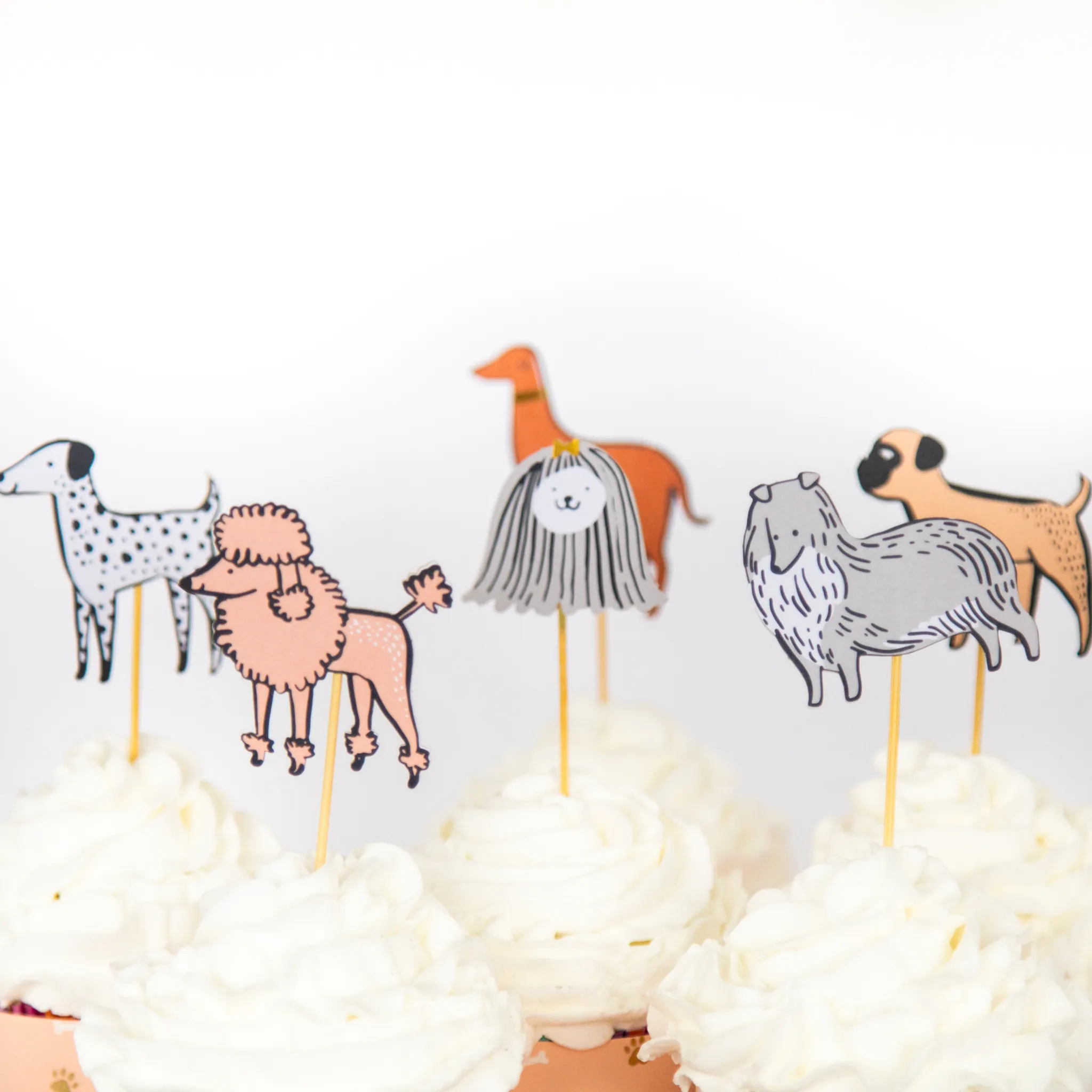 Bow Wow Dog Cupcake Kit 24ct
