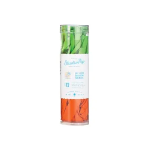 Carrot Mini Balloon Kit