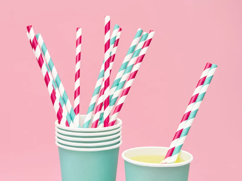 Dark Pink Striped Paper Straws