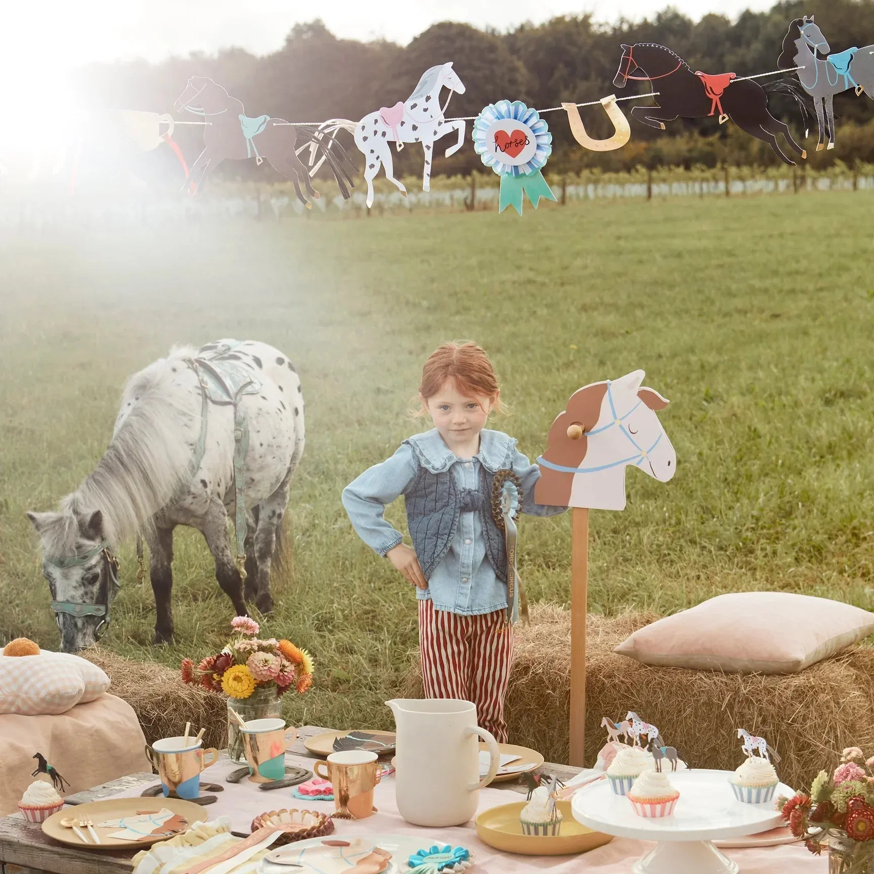 Horse Cupcake Decorating Kit 24ct
