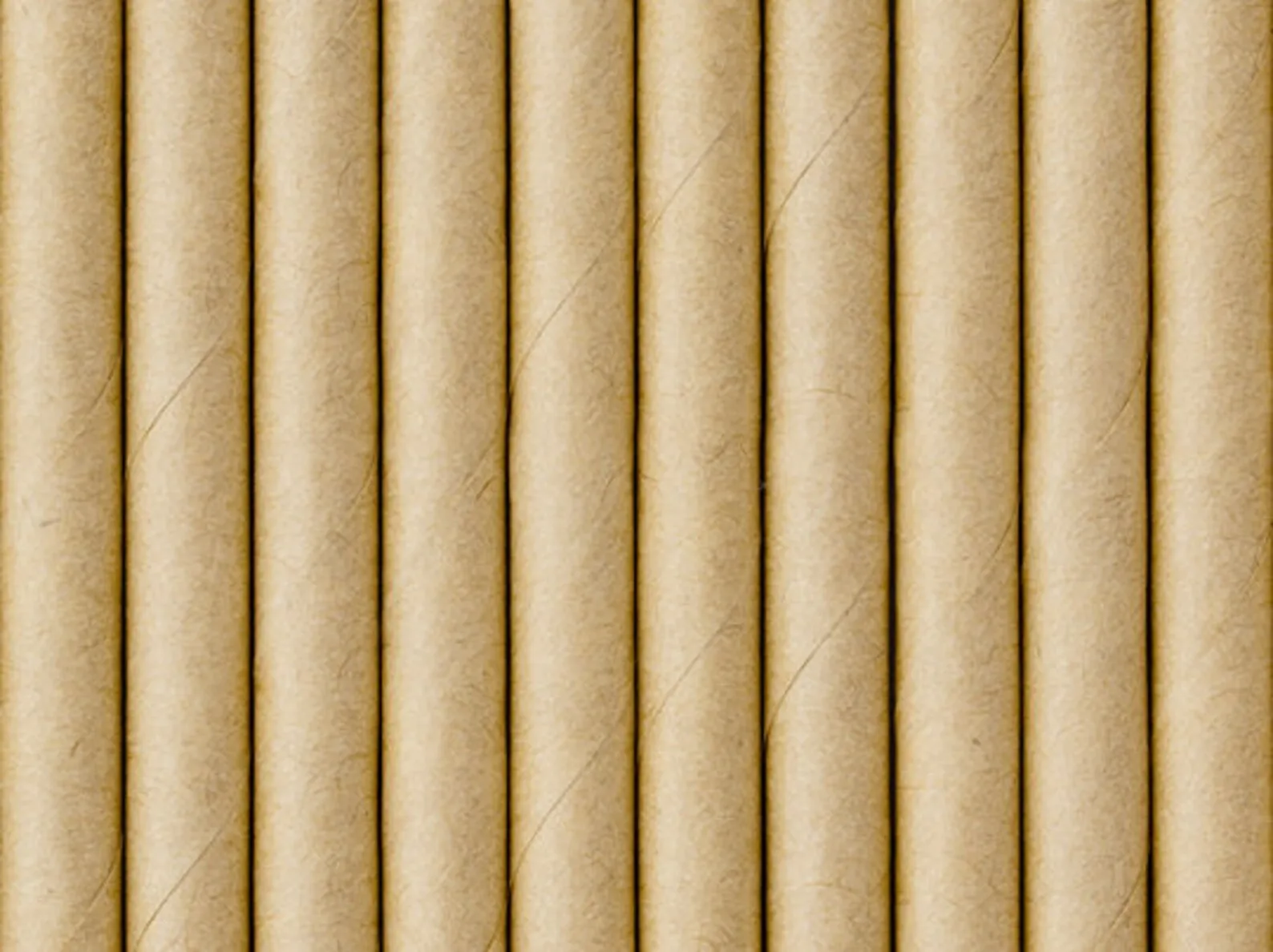 Kraft Paper Straws 10ct
