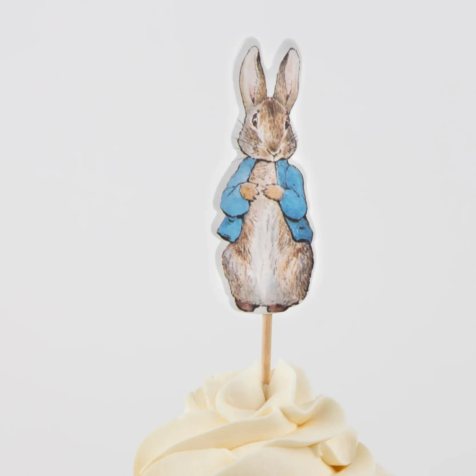 Peter Rabbit In The Garden Cupcake Decorating Kit 24ct