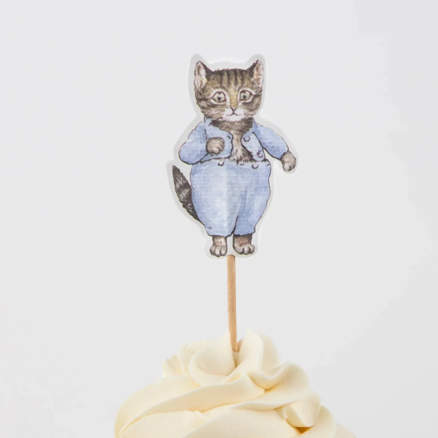 Peter Rabbit In The Garden Cupcake Decorating Kit 24ct