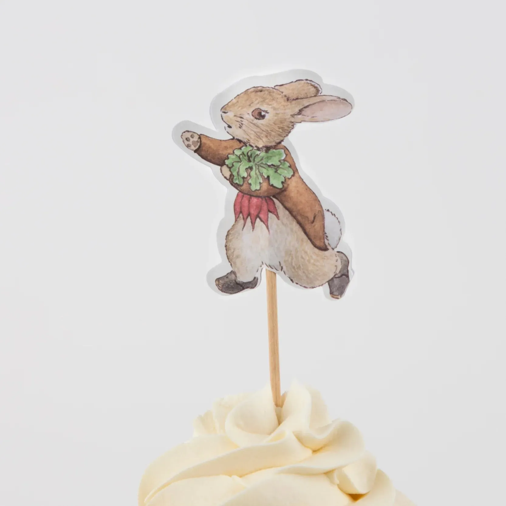 Peter Rabbit In The Garden Cupcake Decorating Kit 24ct
