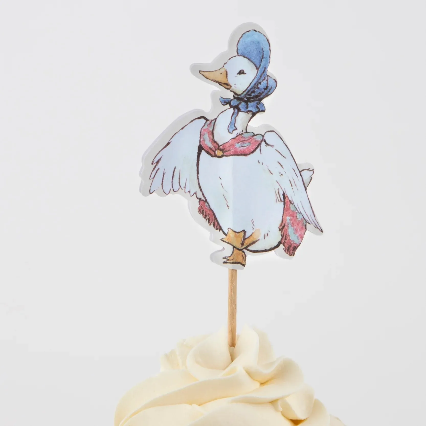 Peter Rabbit In The Garden Cupcake Decorating Kit 24ct