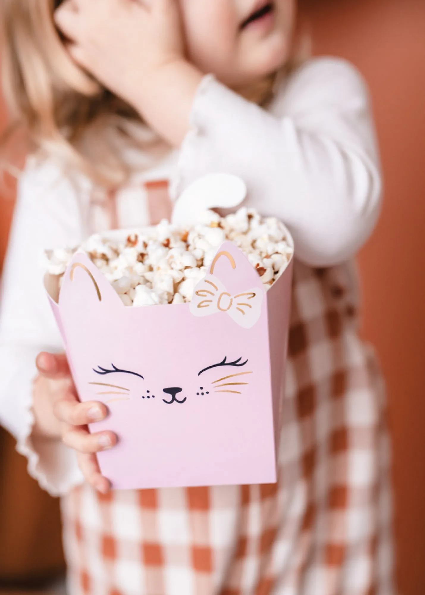 Pink Kitty Cat Popcorn Boxes 3ct