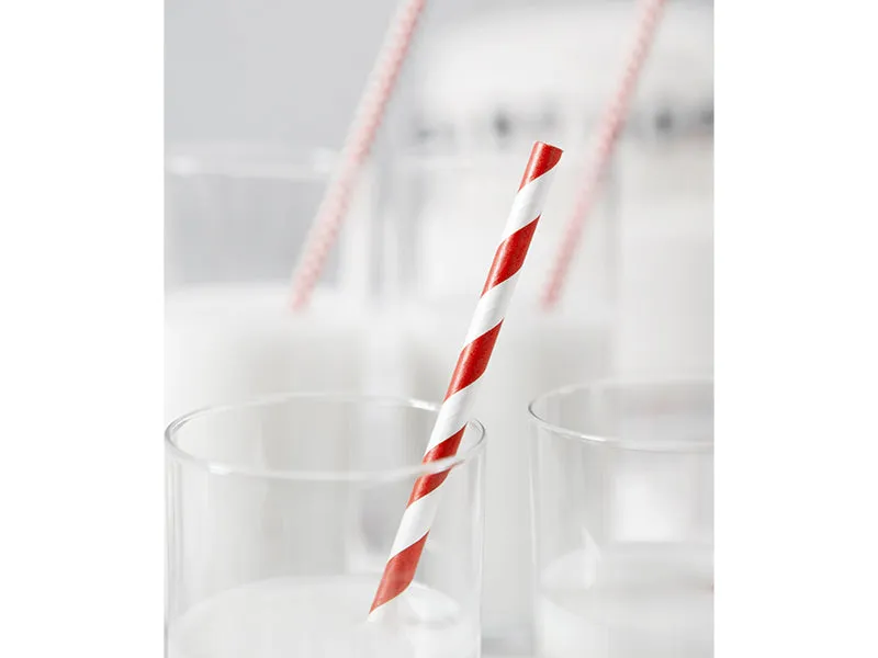 Red Striped Paper Straws 10ct
