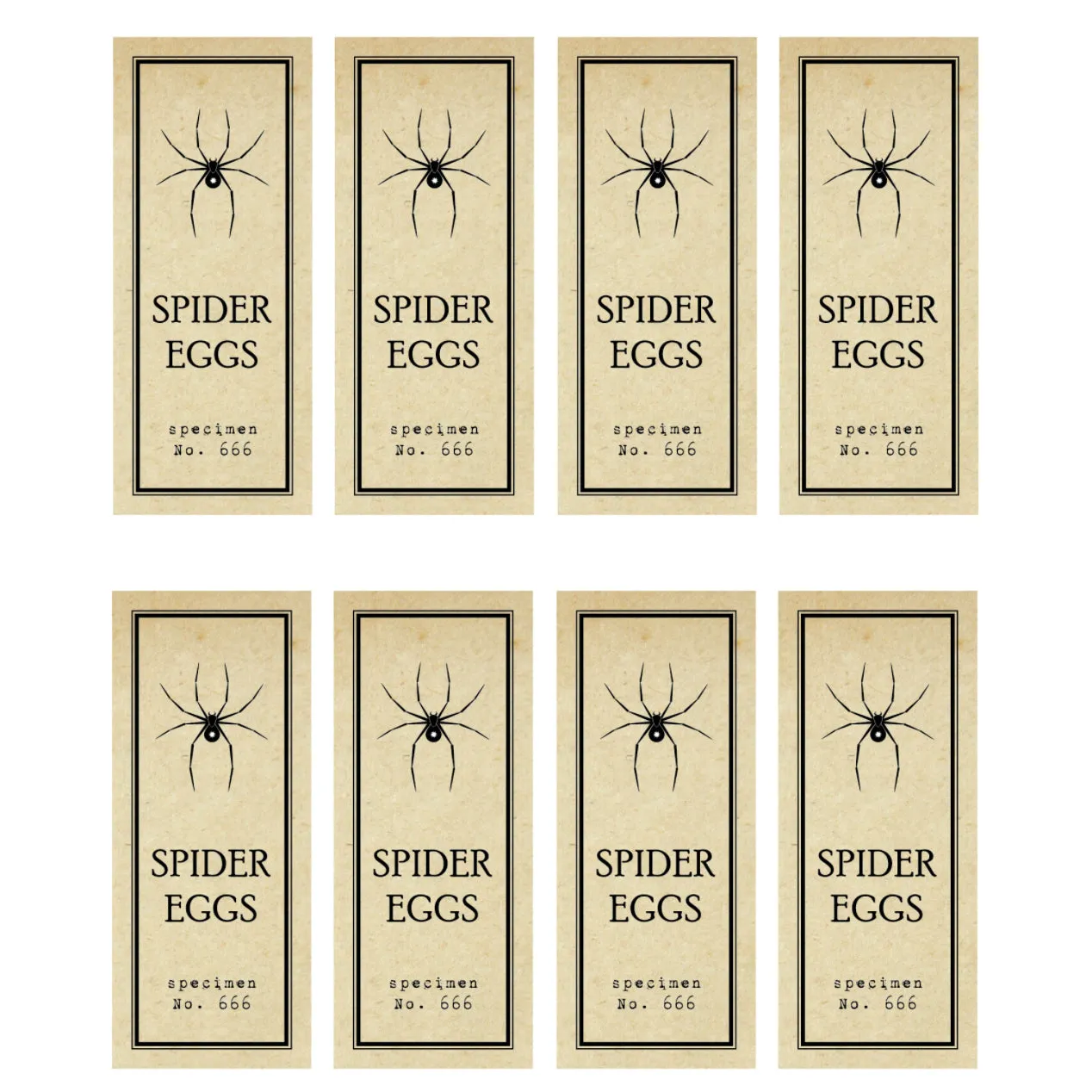 Spider Eggs Test Tube Labels