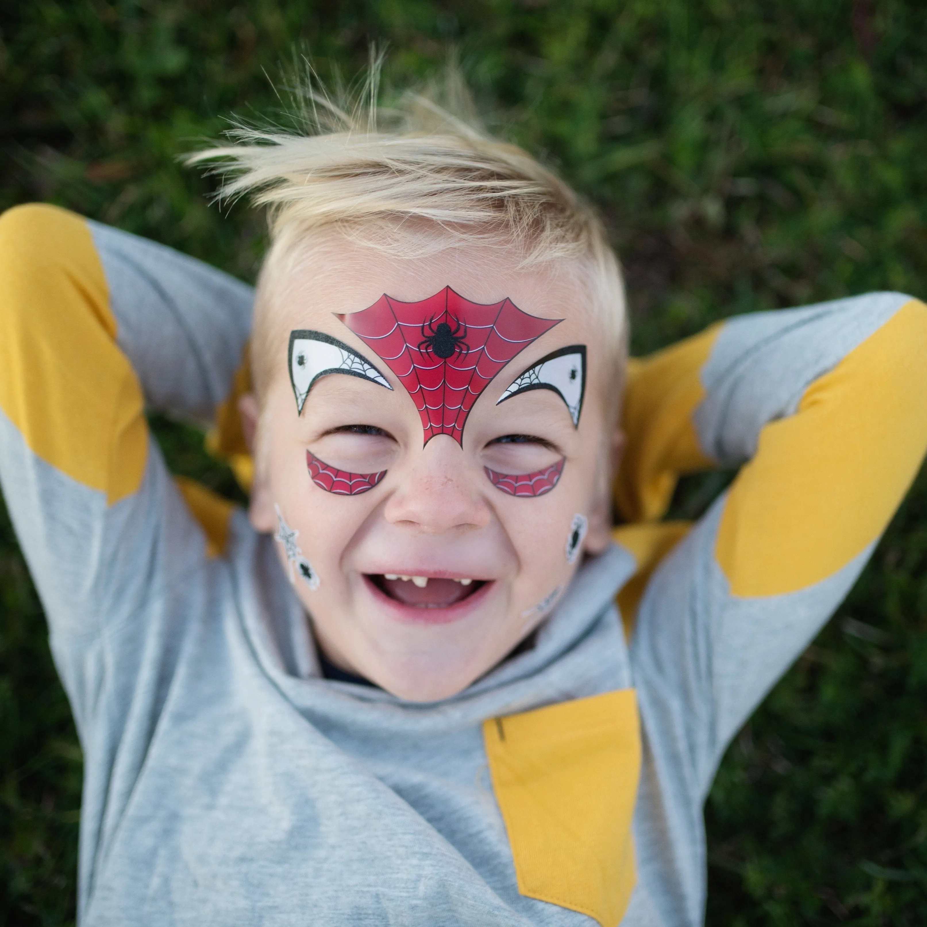 Spider Superhero Stickers 8 ct